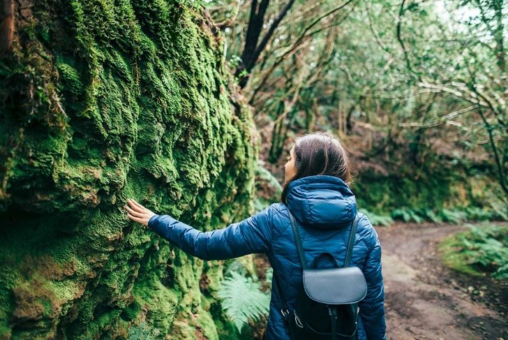 Back view of traveler woman walking in forest. Travel concept. Anaga Country Park, Biosphere Reserve, Laurel forest, Tenerife, Canary islands